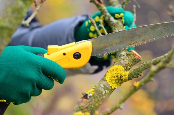 Vente d'outillage pour jardin au Tampon 974